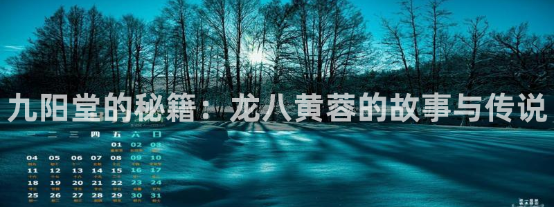 万事娱乐集团官网：九阳堂的秘籍：龙八黄蓉的故事与传说