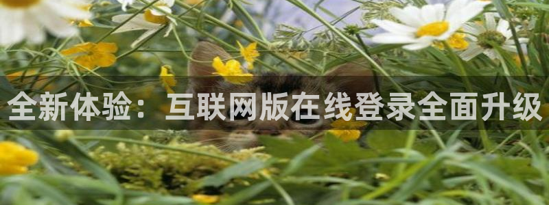 万事娱乐代理：全新体验：互联网版在线登录全面升级