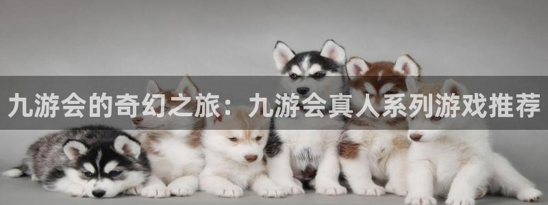 万事娱乐体育3：九游会的奇幻之旅：九游会真人系列游戏推荐