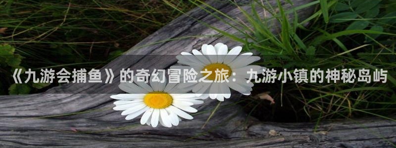 万事娱乐体育免费注册入口：《九游会捕鱼》的奇幻冒险之旅：九游小镇的神秘岛屿