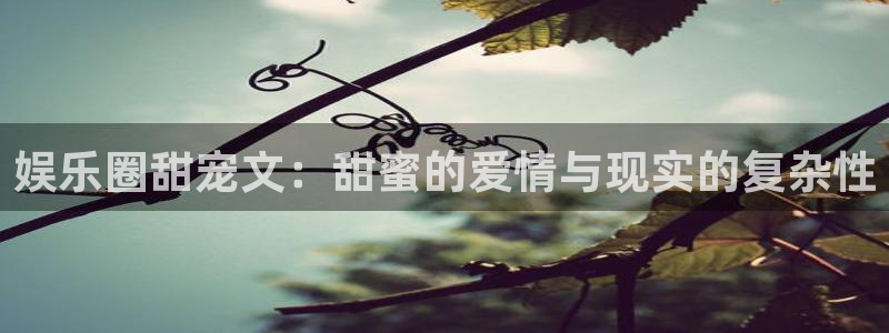 万事娱乐登录界面入口：娱乐圈甜宠文：甜蜜的爱情与现实的复杂性