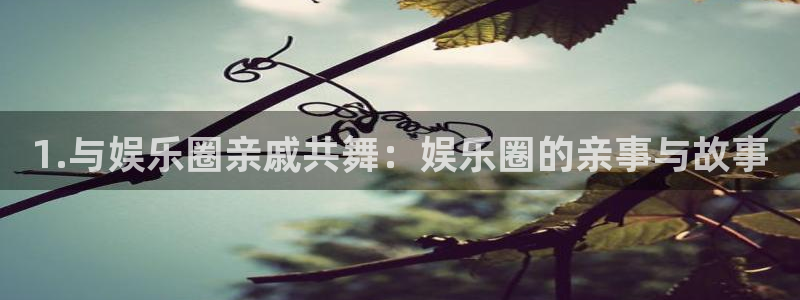 万事娱乐包怎么样
