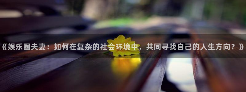 佛山市南海万事娱乐机电仪器有限公司：《娱乐圈夫妻：如何在复杂的社会环境中，共同寻找自己的人生方向？》