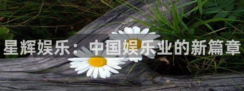 福建万事娱乐机电股份公司：星辉娱乐：中国娱乐业的新篇章